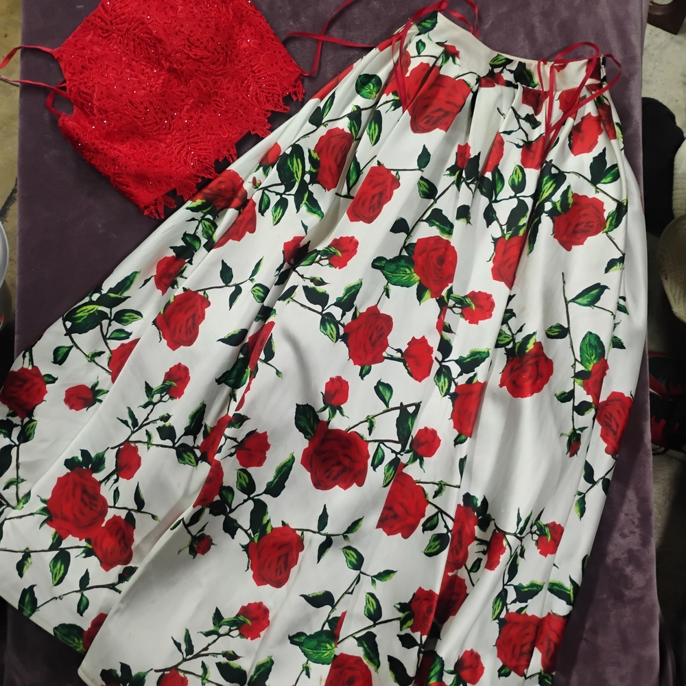 Dave & Johnny Red Floral A-Line Skirt